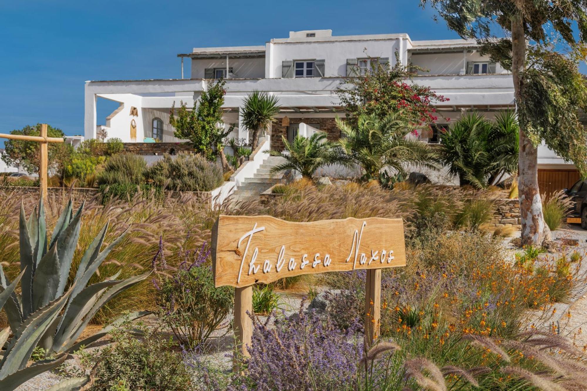 Thalassa Naxos Kastraki  Екстер'єр фото